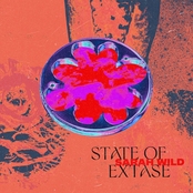 State Of Extase