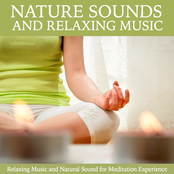 Nature Sound and Music Relaxation (Relaxing Music and Natural Sound for Meditation Experience)