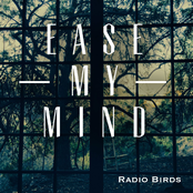 Radio Birds: Ease My Mind