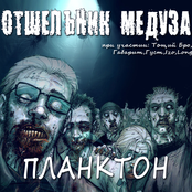 Отшельник медуза