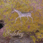 Sidekey