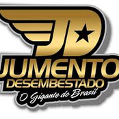 Banda Jumento Desembestado, Vol. 6 (Ao Vivo em Castanhal)