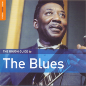 The Rough Guide to The Blues