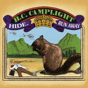 Wouldn't Mind The Sunshine by B.c. Camplight