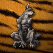 Sponi Wolf - A Furry's Life