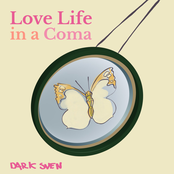 Love Life in a Coma