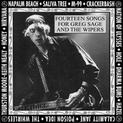 Fourteen Songs For Greg Sage And The Wipers