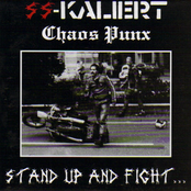 Stand Up and Fight...