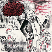 Svečiuose pas Ervydą