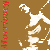 Suedehead: The Best of Morrissey