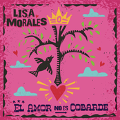 El Amor No Es Cobarde