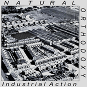 Industrial Action