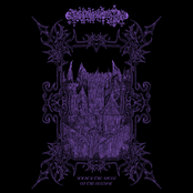 Under the spell of the eclipse