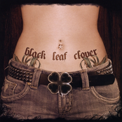 Black Leaf Clover