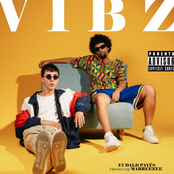 VIBZ