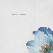 Forget It All Happened