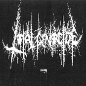 Anti-human 6 6 6