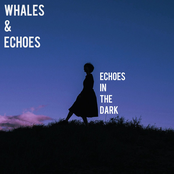 Echoes In The Dark