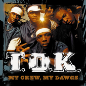 On The Radio by T.o.k.