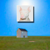 Edomex Plugg: Sonido Marciano Edition