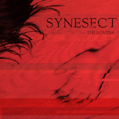 Synesect