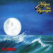 Ninjas With Syringes: Stunner