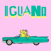 Iguana