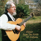 Sitting On Top Of The World by Norman Blake