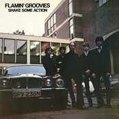 Flamin Groovies: Shake Some Action