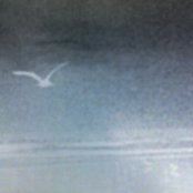 An open door - part II