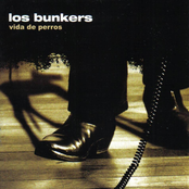 Te Vistes Y Te Vas by Los Bunkers