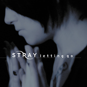 Remember Me by Stray