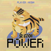 호랑이 Power