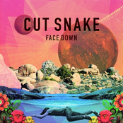 Cut Snake: Face Down