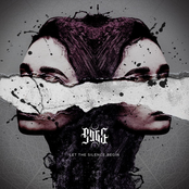 Let the silence begin