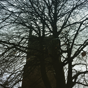 A Congregation of Ghosts: Curiosities and Oddities