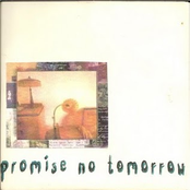 Promise No Tomorrow