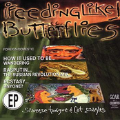 Siamese Tongue & Cat Singles - EP