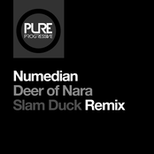 Deer of Nara (Slam Duck Remix)