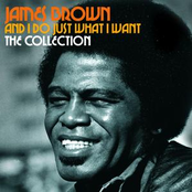 Stone Fox by James Brown & The Famous Flames