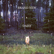 Gasoline by Brand New