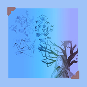 Lakeside Limerence