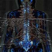 Woolly Mammoth Burial Site