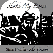 Shake My Bones