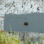 Free Trio at Brown Rice