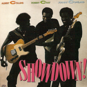 albert collins/robert cray/johnny copeland