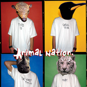 animal nation