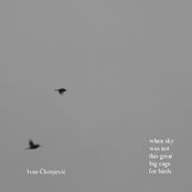 When Sky Was Not This Great Big Cage For Birds   (2008.)Slušaj najglasnije
