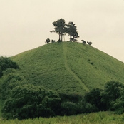 The Side of The Hill