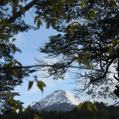 retorno a la intención